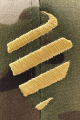 IMAGE-7.png